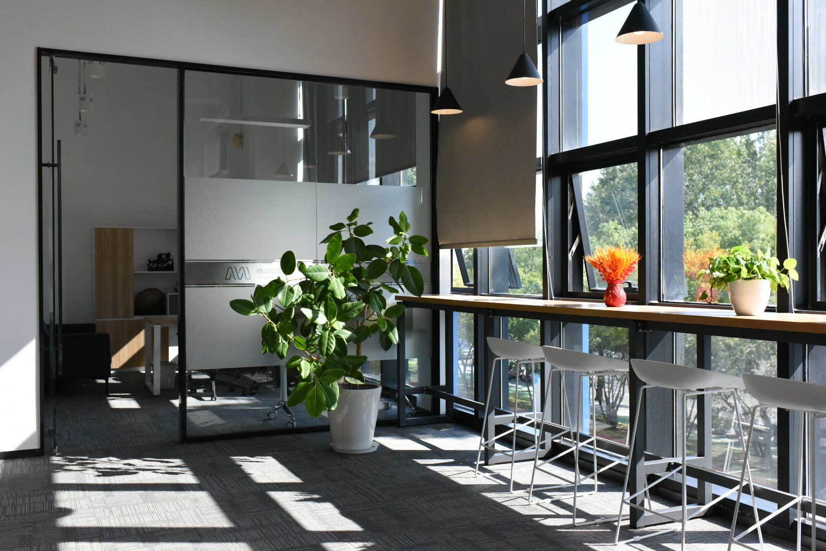 1771920927533253.jpg 1771920927533253.jpg